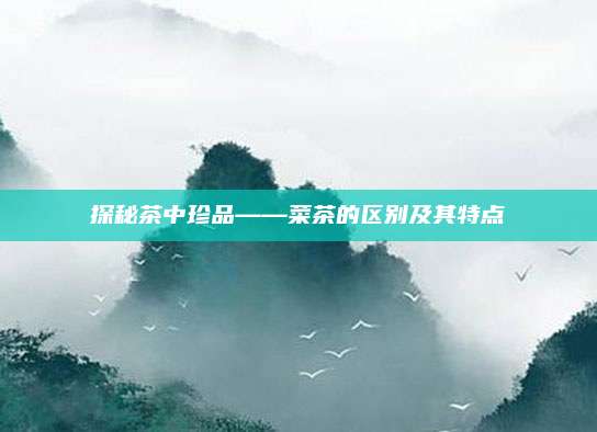 探秘茶中珍品——菜茶的区别及其特点