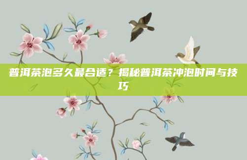 普洱茶泡多久最合适？揭秘普洱茶冲泡时间与技巧