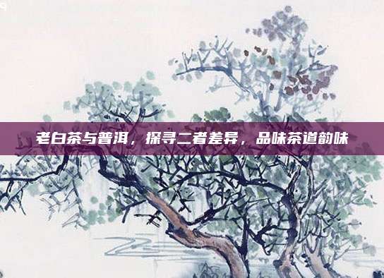 老白茶与普洱，探寻二者差异，品味茶道韵味