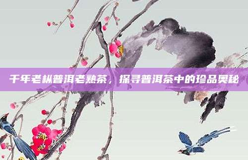千年老枞普洱老熟茶，探寻普洱茶中的珍品奥秘