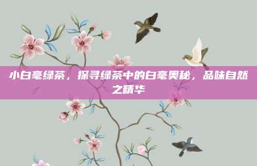 小白毫绿茶，探寻绿茶中的白毫奥秘，品味自然之精华