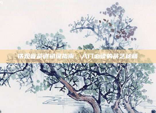 铁观音茶道初级指南，入门必读的茶艺秘籍