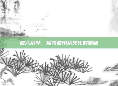 徽六茶叶，探寻徽州茶文化的精髓