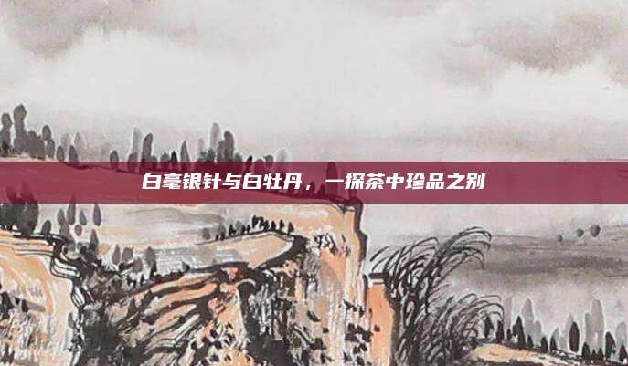 白毫银针与白牡丹，一探茶中珍品之别