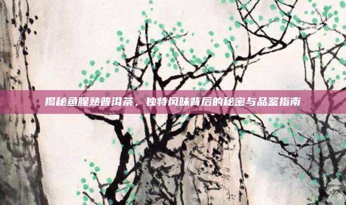 揭秘鱼腥熟普洱茶，独特风味背后的秘密与品鉴指南