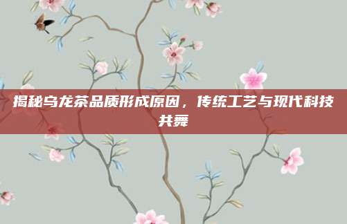 揭秘乌龙茶品质形成原因，传统工艺与现代科技共舞