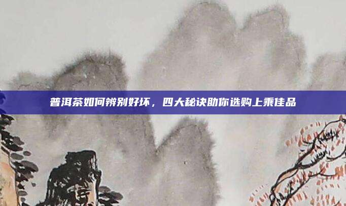 普洱茶如何辨别好坏，四大秘诀助你选购上乘佳品