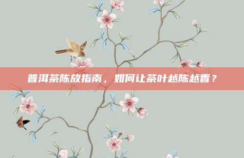 普洱茶陈放指南，如何让茶叶越陈越香？