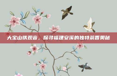 大宝山铁观音，探寻福建安溪的独特茶香奥秘