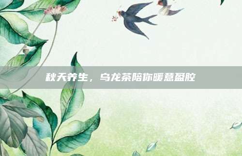 秋天养生，乌龙茶陪你暖意盈腔