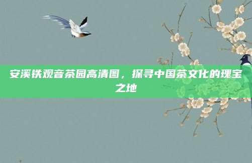 安溪铁观音茶园高清图，探寻中国茶文化的瑰宝之地