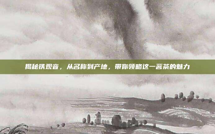 揭秘铁观音，从名称到产地，带你领略这一茗茶的魅力