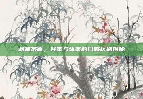 品鉴茶香，好茶与坏茶的口感区别揭秘