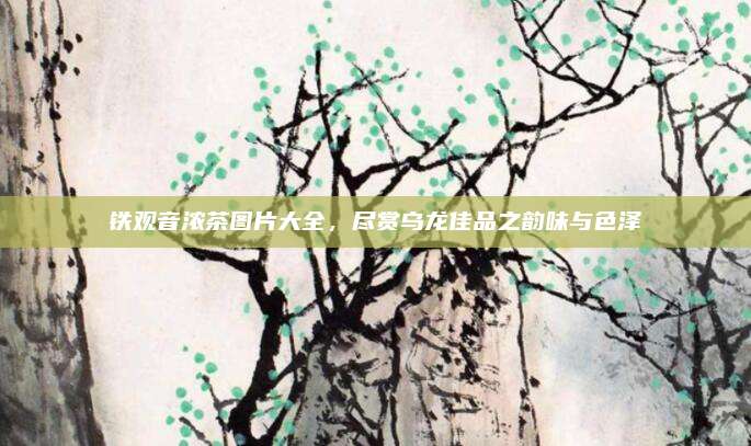 铁观音浓茶图片大全,尽赏乌龙佳品之韵味与色泽