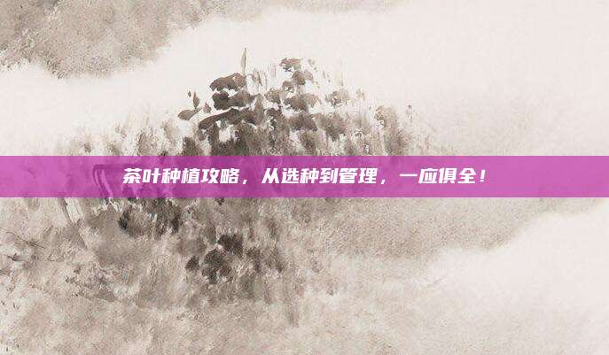 茶叶种植攻略，从选种到管理，一应俱全！