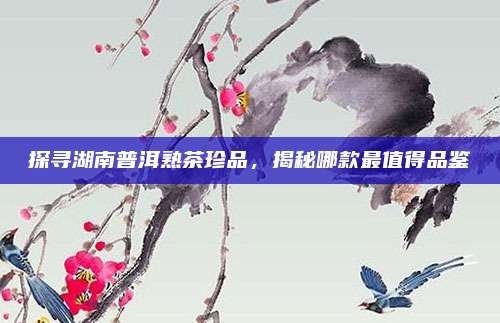 探寻湖南普洱熟茶珍品,揭秘哪款最值得品鉴