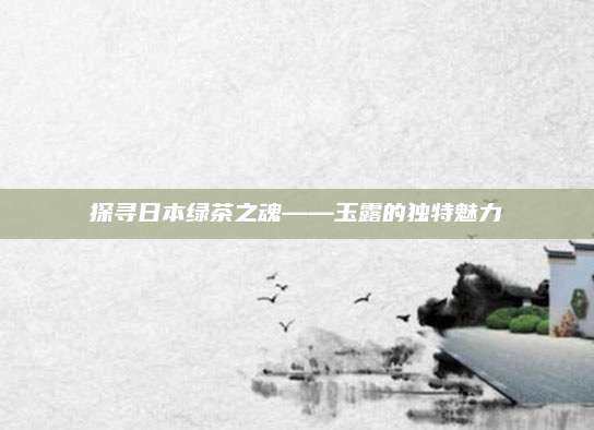 探寻日本绿茶之魂——玉露的独特魅力
