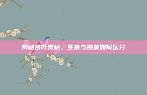 揭秘茶叶奥秘，生茶与熟茶如何区分