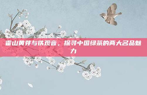 霍山黄芽与铁观音，探寻中国绿茶的两大名品魅力
