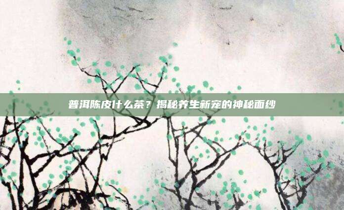 普洱陈皮什么茶？揭秘养生新宠的神秘面纱