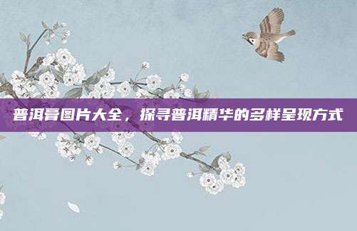 普洱膏图片大全，探寻普洱精华的多样呈现方式