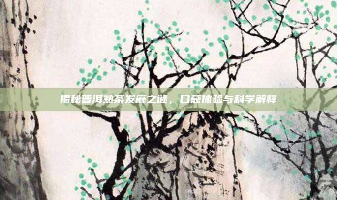 揭秘普洱熟茶发麻之谜，口感体验与科学解释