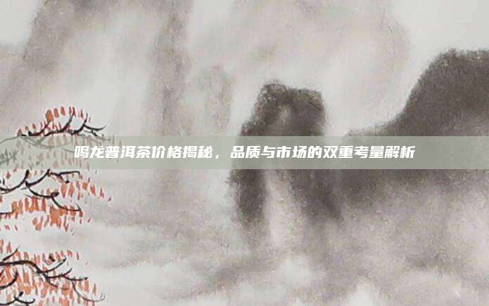 鸣龙普洱茶价格揭秘，品质与市场的双重考量解析