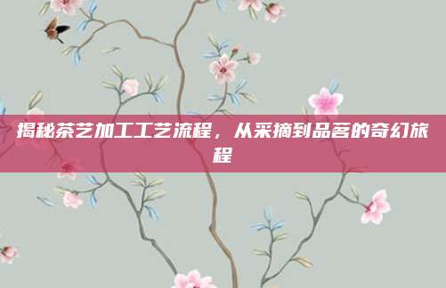 揭秘茶艺加工工艺流程，从采摘到品茗的奇幻旅程