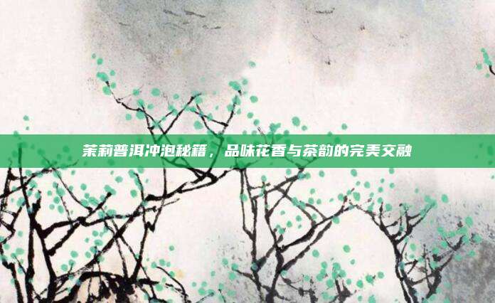 茉莉普洱冲泡秘籍，品味花香与茶韵的完美交融