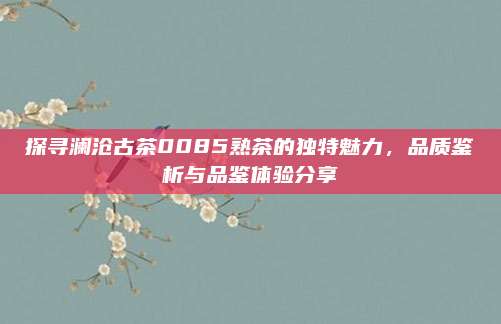 探寻澜沧古茶0085熟茶的独特魅力，品质鉴析与品鉴体验分享