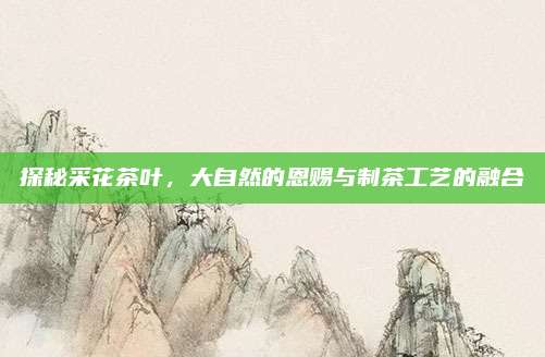 探秘采花茶叶，大自然的恩赐与制茶工艺的融合