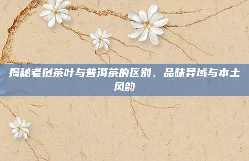 揭秘老挝茶叶与普洱茶的区别，品味异域与本土风韵