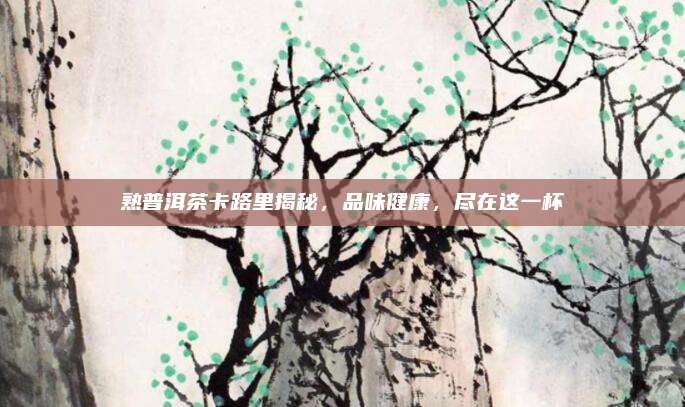 熟普洱茶卡路里揭秘，品味健康，尽在这一杯
