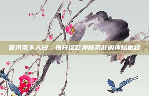 普洱茶下大白，揭开这款神秘茶叶的神秘面纱