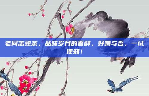 老同志熟茶，品味岁月的香醇，好喝与否，一试便知！