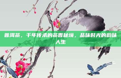 普洱茶，千年传承的茶香秘境，品味时光的韵味人生