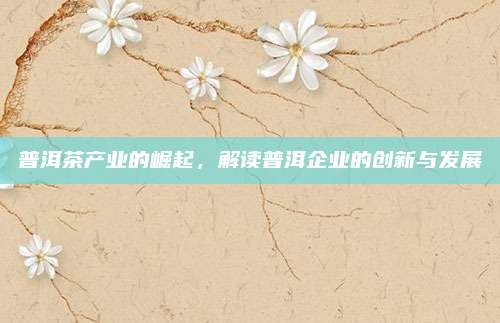 普洱茶产业的崛起，解读普洱企业的创新与发展