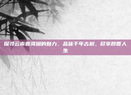 探寻云南普洱烟的魅力，品味千年古树，尽享醇香人生