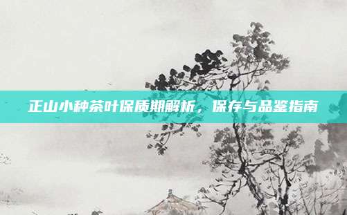 正山小种茶叶保质期解析，保存与品鉴指南