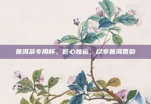 普洱茶专用杯，匠心独运，尽享普洱香韵