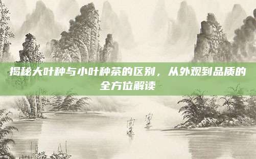 揭秘大叶种与小叶种茶的区别，从外观到品质的全方位解读