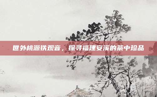 世外桃源铁观音，探寻福建安溪的茶中珍品