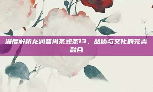 深度解析龙润普洱茶熟茶13，品质与文化的完美融合