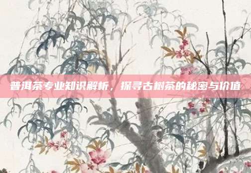 普洱茶专业知识解析，探寻古树茶的秘密与价值