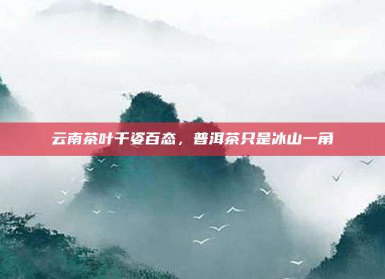 云南茶叶千姿百态，普洱茶只是冰山一角