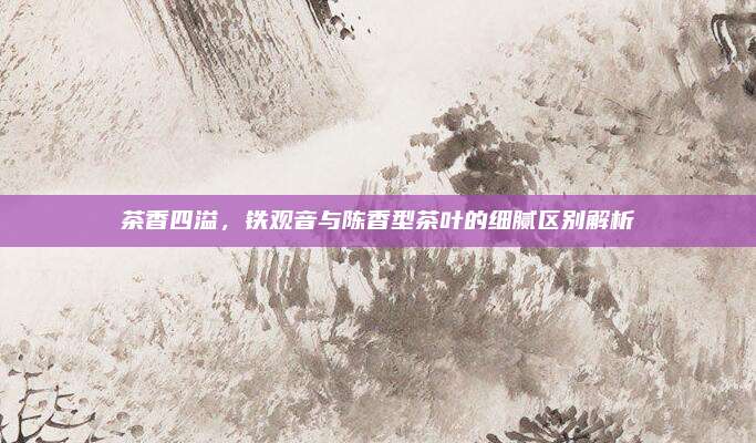 茶香四溢，铁观音与陈香型茶叶的细腻区别解析
