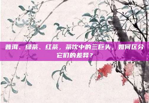 普洱、绿茶、红茶，茶饮中的三巨头，如何区分它们的差异？