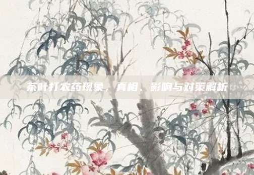 茶叶打农药现象,真相、影响与对策解析