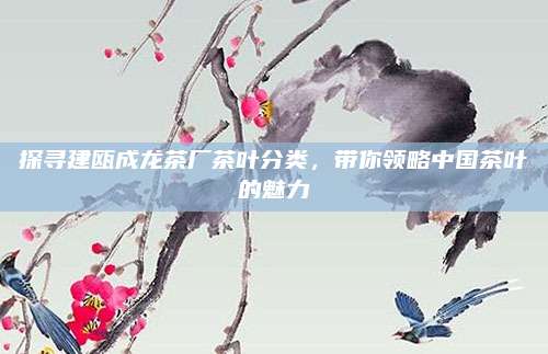 探寻建瓯成龙茶厂茶叶分类，带你领略中国茶叶的魅力
