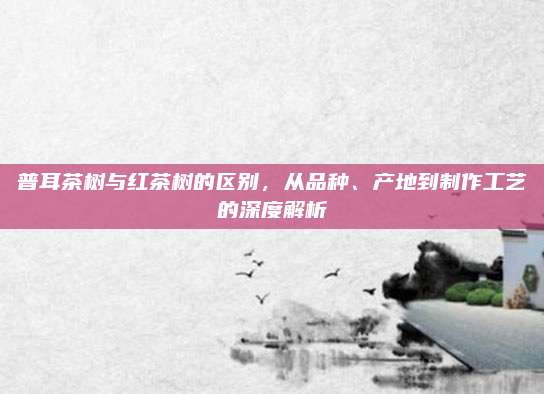 普耳茶树与红茶树的区别，从品种、产地到制作工艺的深度解析